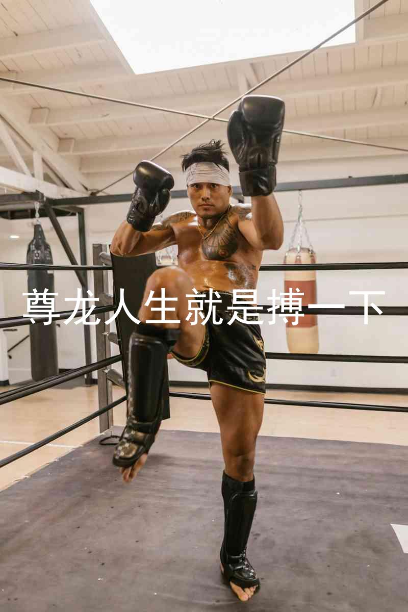 尊龙人生就是搏一下