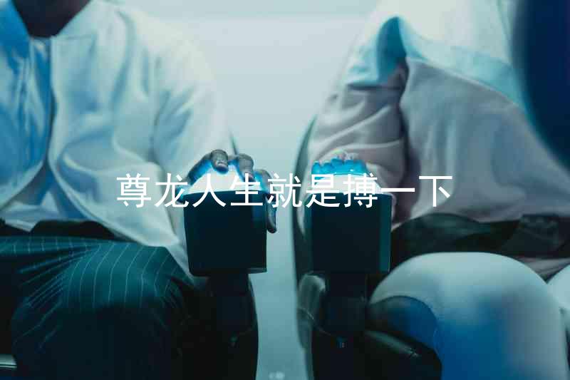 尊龙人生就是搏一下