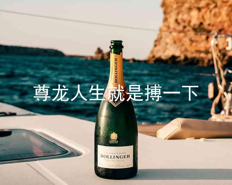 尊龙人生就是搏一下