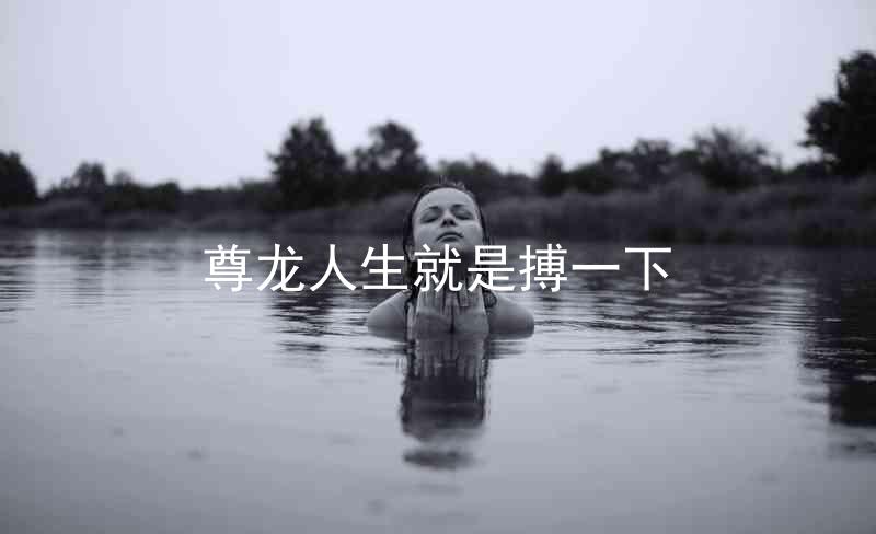尊龙人生就是搏一下