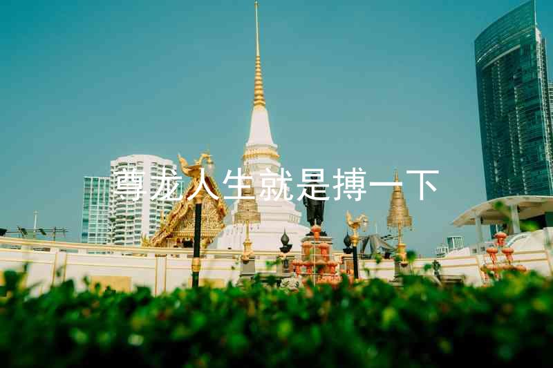 尊龙人生就是搏一下