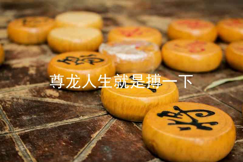尊龙人生就是搏一下
