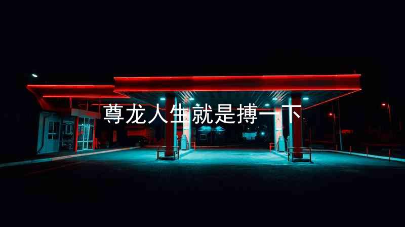 尊龙人生就是搏一下