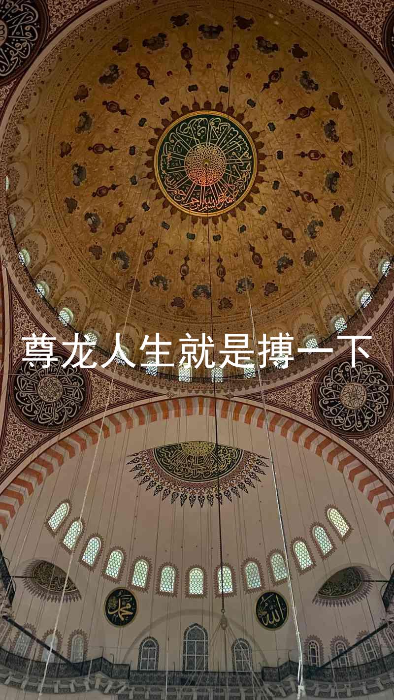 尊龙人生就是搏一下