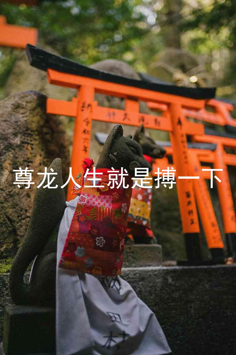 尊龙人生就是搏一下